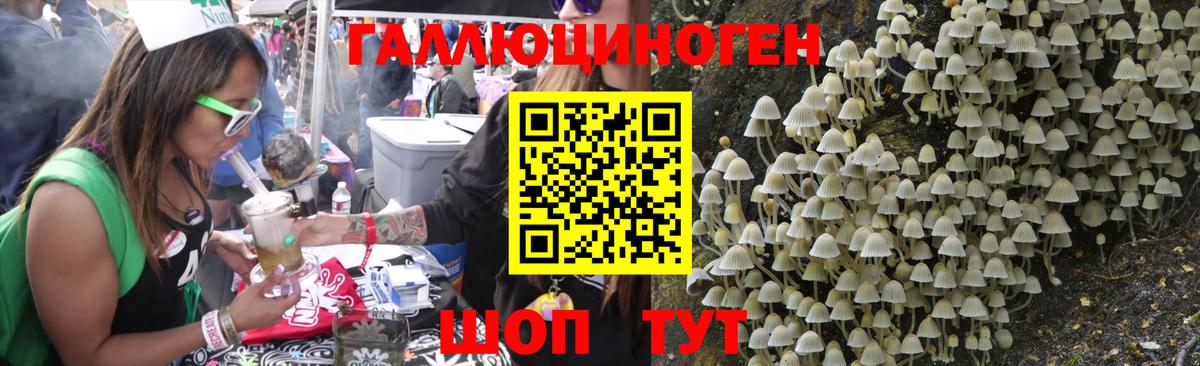 Галлюциногенные грибы Psilocybe Архангельск